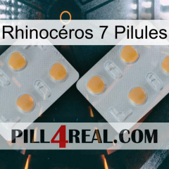 Rhinocéros 7 Pilules 25